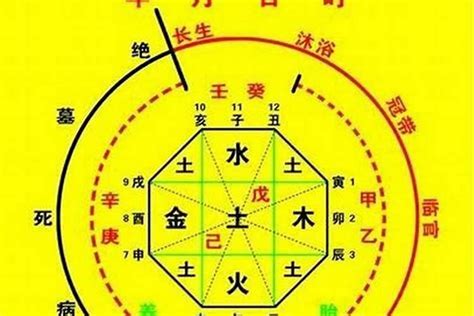 算命 五行|生辰八字算命、五行喜用神查询（免费测算）